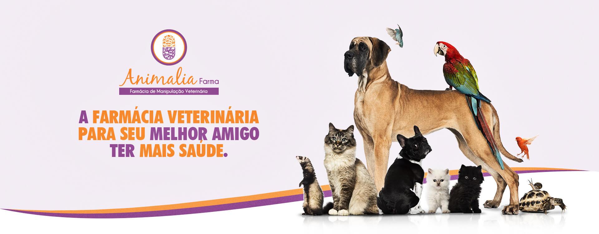 Manipulação veterinária em São José do Rio Preto